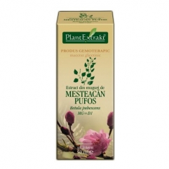 Extract din muguri de MESTEACAN PUFOS - Betula pubescens 50 ml